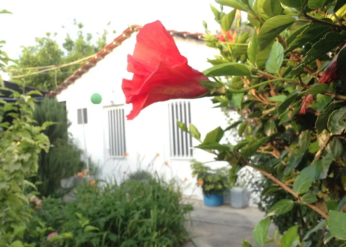 Pension Zoi